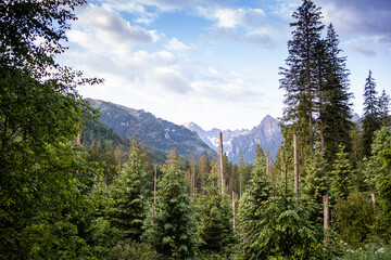 Landscape in the mountains. Tatra Mountains, Poland.  Stones. Forest in the mountains