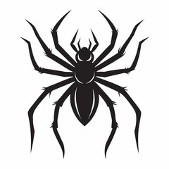 Vector collections black spider silhouette