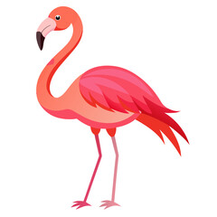 Obraz premium Flamingo Illustration Isolated on White Background Transparent PNG