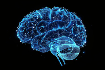 Glowing X-ray image of a human brain represented in a blue wireframe, isolated on a black background, illustrating scientific and medical concepts related to the mind and neurology