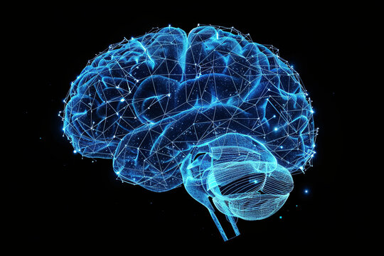 Glowing X-ray image of a human brain represented in a blue wireframe, isolated on a black background, illustrating scientific and medical concepts related to the mind and neurology