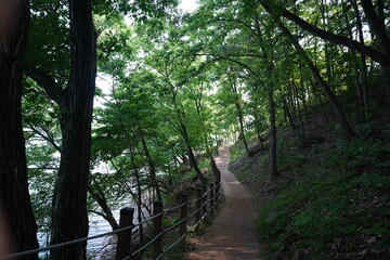 대한민국 담양의 용마루길 풍경