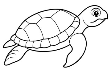 Turtle vector illustration