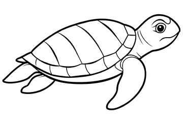 Turtle vector illustration