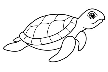 Turtle vector illustration