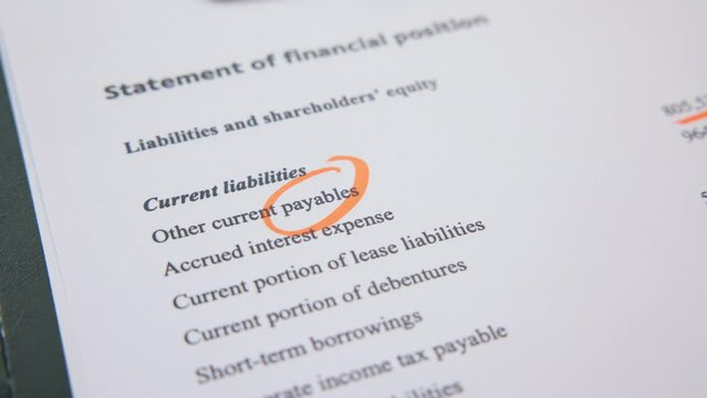 Tax audit review balance sheet account payable data risk ratio in annual report by GAAP IFRS IAS. Income Cash flow expense invoice bill payment control checking inspecting wealth for trader study.