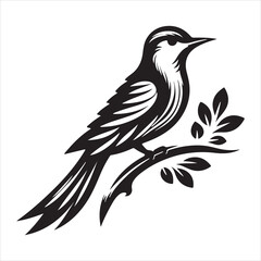 Obraz premium birds vector illustration silhouette image