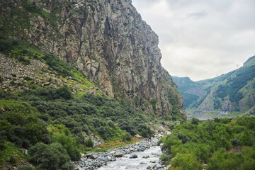 Fototapeta premium The valley of the Terek River in Georgia. Natural landscape