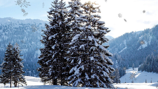 3D Snow 3 Styles Loop 1 Motion Overlay 4k 1:1 16:9 9:16