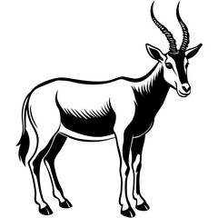 Arabian Oryx vector artwork illustration svg