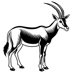 Arabian Oryx vector artwork illustration svg