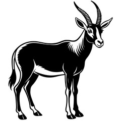 Arabian Oryx vector artwork illustration svg