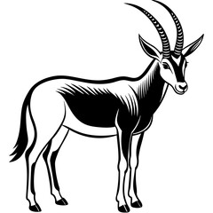 Arabian Oryx vector artwork illustration svg