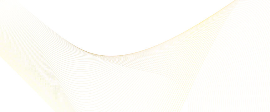 Vector gold pattern of lines abstract Transparent background, blend line gold pattern with wavy stripes of the pattern of gold lines background.