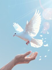 Fototapeta premium A white dove is flying in the sky with its wings spread out