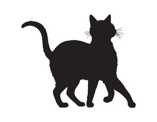 Black Cat Silhouette on White Background.