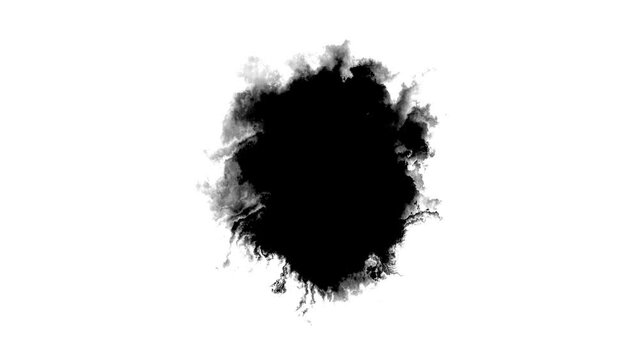 Abstract Ink splash spreads across the screen ink transition splatter blot spreading. ink splatter transition. ink brush stroke, fluid art black and white. Slide Show, Fade, Matte, Reveal splatter