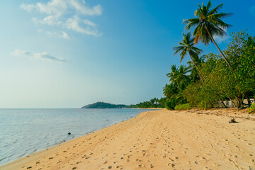 Beautiful tropical island with palm trees and beach panorama. Banner of idyllic tropical beach with white sand, palm tree and turquoise blue ocean. Palm and tropical beach. 