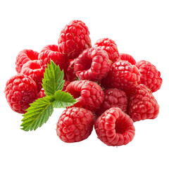 Raspberry Isolated on a Transparent Background