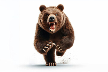 Fototapeta premium angry bear running on my Isolated on white background