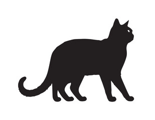 Black Cat Silhouette on White Background.