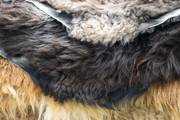 animal skin with fur as background.