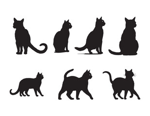 Black CatsSilhouette on White Background.