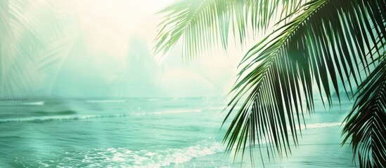 Fototapeta premium Palm leaf abstract background creating a hazy beach scene. Embracing the essence of a summer getaway.