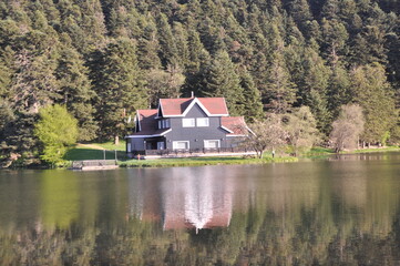 Obraz premium Wooden lake house inside forest in Golcuk National Park, Bolu, Turkey