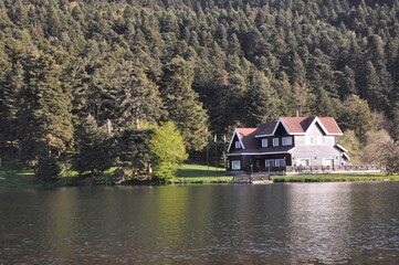 Fototapeta premium Wooden lake house inside forest in Golcuk National Park, Bolu, Turkey