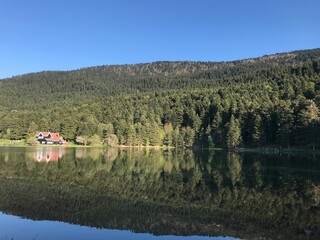 Fototapeta premium Wooden lake house inside forest in Golcuk National Park, Bolu, Turkey