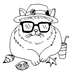 grazioso gatto sdraiato al mare