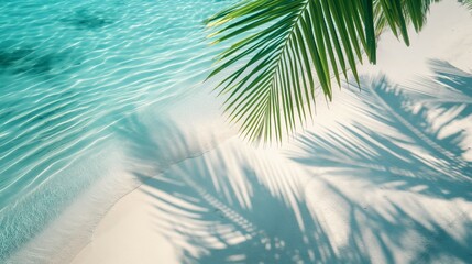 Abstract background with palm leaves and shadows on sandy beach