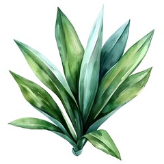 Elegant Tropical Yucca Leaf Botanical Watercolor Silhouette