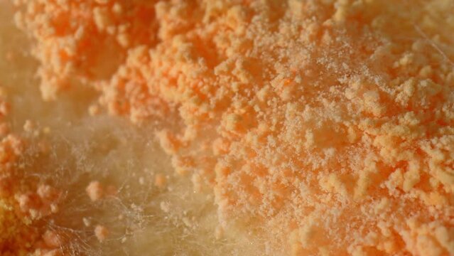 Zoom in on bread, witness a tapestry of mold, its fuzzy tendrils weaving intricate patterns of orange and yellow, a testament to the silent drama of decomposition. Fungal background.
