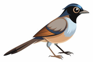 Bird Vector illustration