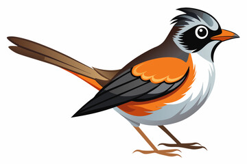 Bird Vector illustration