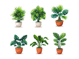 Set of trendy potted plants for home. Different indoor houseplants isolated on white background. Alocasia, begonia, fan palm, monstera, ficus, strelitzia and oxalis. Colored flat vector illustration