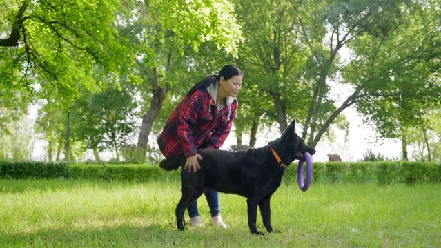 Positive beautiful Asian female pet owner playing with puller with dog, teaching cute east european black shepherd to fetch command while practicing obedience training in summer park.