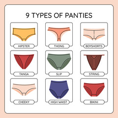 Types of colorful woman panties infographics. Vector pants collection.