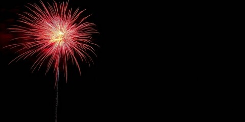 A striking red firework explodes in the darkness, standing out vividly against the black night sky, symbolizing celebration, excitement, and brilliance in simplicity.