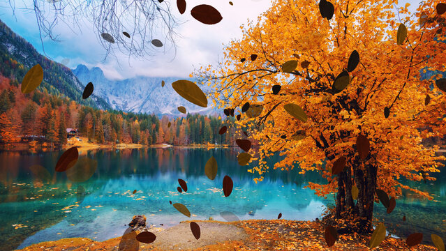Autumn Leaves 4 Loops Overlay 4k 1:1 16:9 9:16