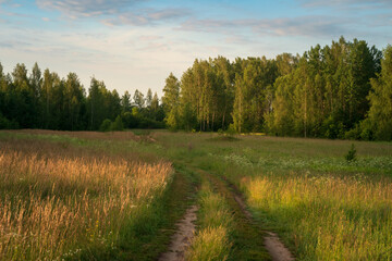 View of the country road through the Izborsko-Malskaya valley on a sunny summer morning, Izborsk, Pechersk district, Pskov region, Russia