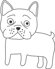 french_bulldog01