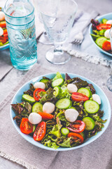 Dietary Italian salads with lettuce, tomatoes, mozzarella and cucumber