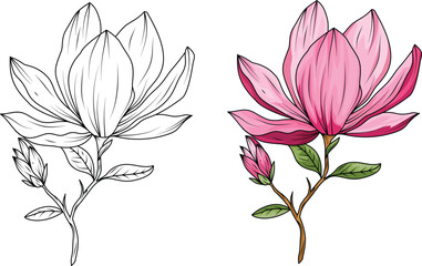 Set of blooming magnolia branches and magnolia flower sketch