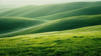 Fototapeta premium Green Grassy Hills