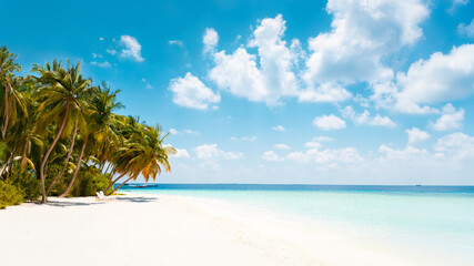 Obraz premium Vacation summer holidays background wallpaper - sunny tropical Caribbean paradise beach with white sand in Seychelles Praslin island Thailand style with palms