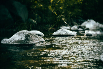 Paraje de Río. Charca. Piedra y curso del agua.