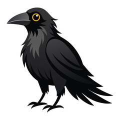 crow on a white background